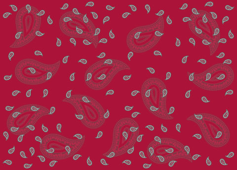 Foulard/Schal mit Glarner Paisley