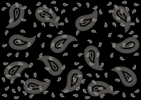 Foulard/Schal mit Glarner Paisley