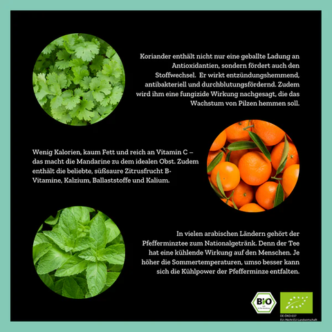 Mighty Mint Lover - Minzteemischung mit Mandarine - 35g - Bio