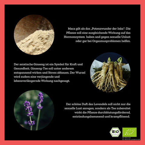 Talk Dirty to Me - Schwarzteemischung mit Maca & Ginseng - 45g - Bio