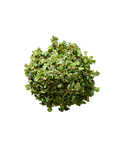Thymian gerebelt, 12g
