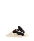 Tonkabohnen, ganz, im Zuckerbett, 50g