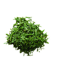 Dillspitzen gerebelt, 13g 