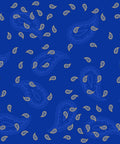 Foulard/Schal mit Glarner Paisley