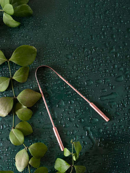 Gewurzladen Nafels Zungenreiniger aus Kupfer auf einem nassen, dunkelgrünen Hintergrund mit grünen Blättern.