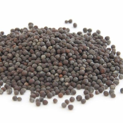 Senfsaat, braun, ganz, Bio, 150g