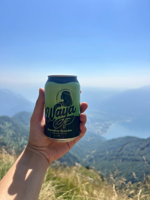 WAYA Guayusa Vitaldrink – 330 ml
